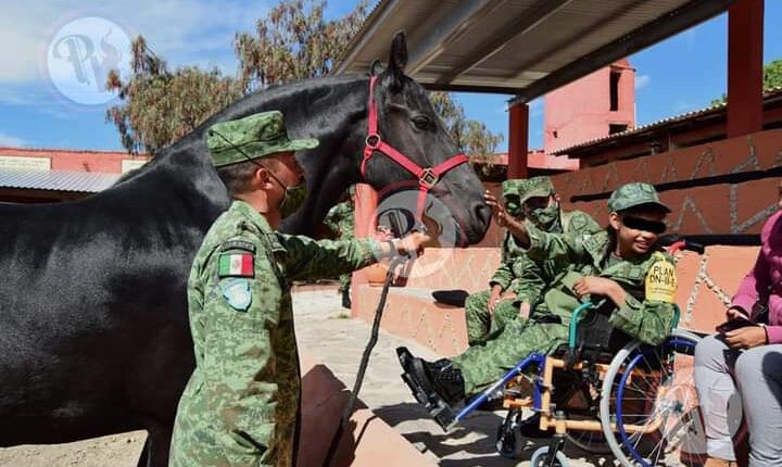 FB_IMG_1636155088345