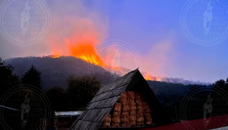 IMG-20230201-WA0007-01