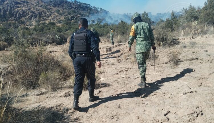 IMG-20230201-WA0008-01