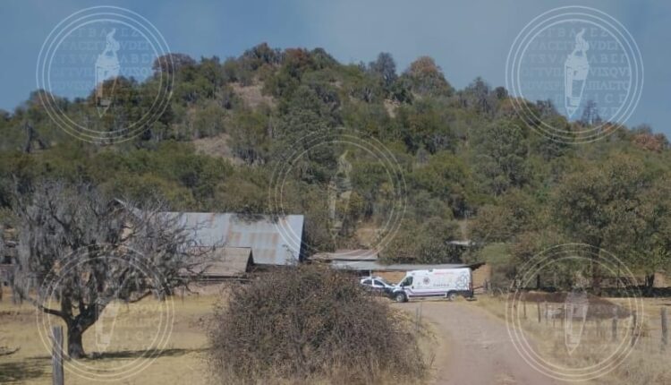 IMG-20230201-WA0010-01