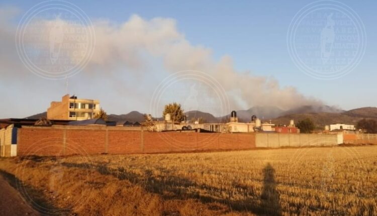 IMG-20230201-WA0012-01