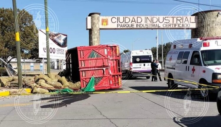 IMG-20230201-WA0125-01