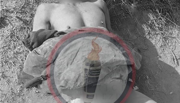 FB_IMG_1679861876827