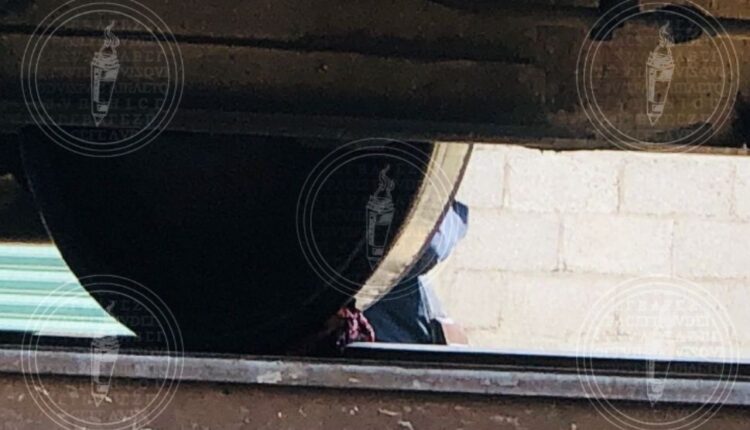 IMG-20230318-WA0017-01