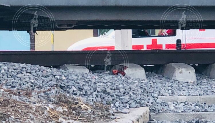 IMG-20230318-WA0019-01