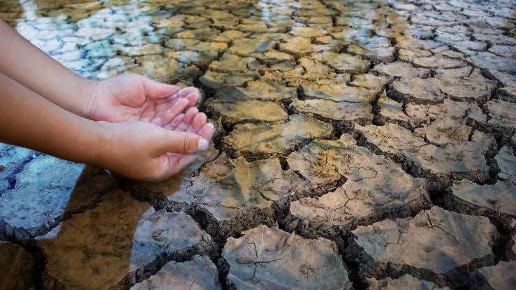 Onu Augura Riesgo Inminente De Crisis Mundial Del Agua Pincel De Luz 7475