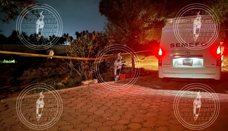 IMG-20230324-WA0177-01