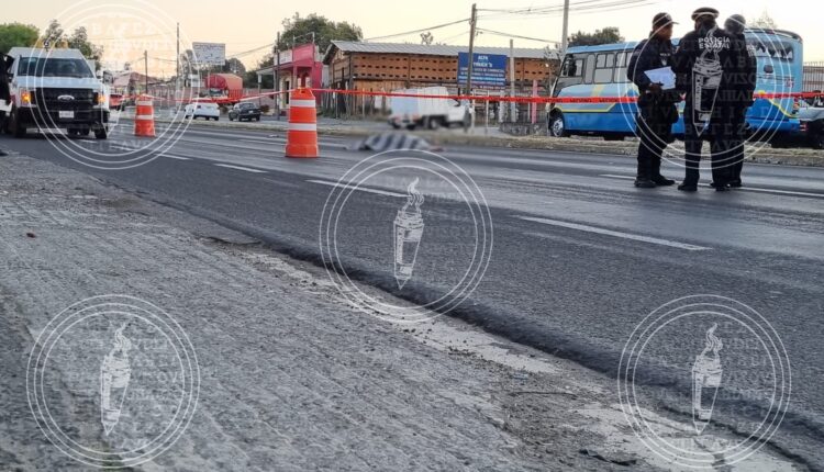 Imagen_228517-01