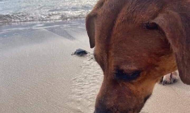 FB_IMG_1682499126995