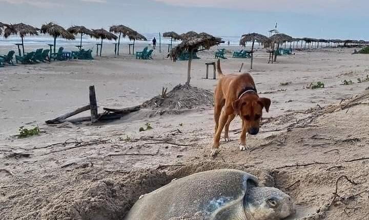 FB_IMG_1682499130569