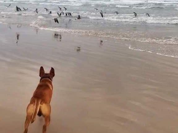 FB_IMG_1682499133746