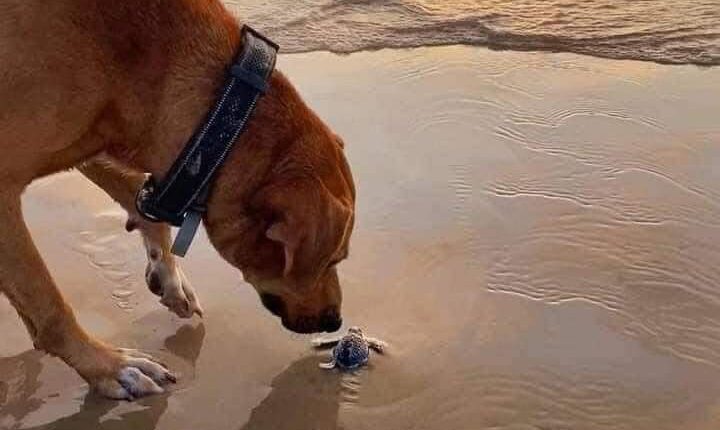 FB_IMG_1682499137894