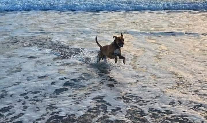 FB_IMG_1682499140687