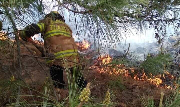 FB_IMG_1682888076612