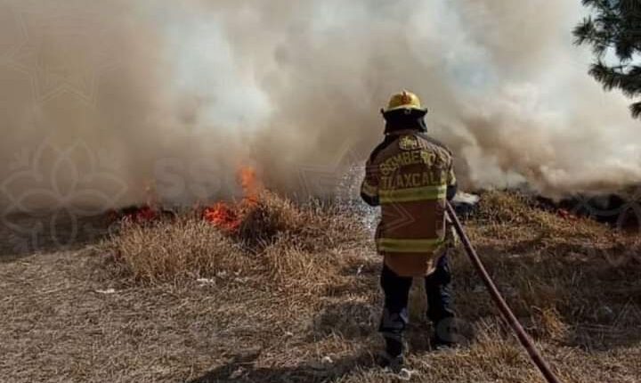 FB_IMG_1682888078294