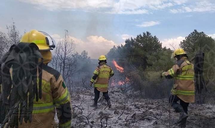 FB_IMG_1682888084141