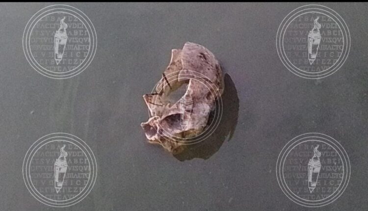 IMG-20230510-WA0154-01