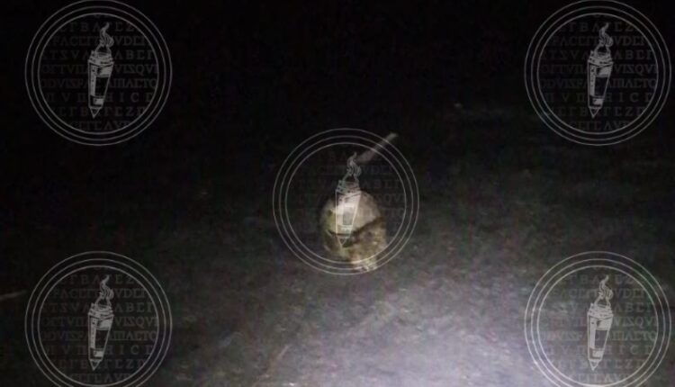 IMG-20230510-WA0156-01