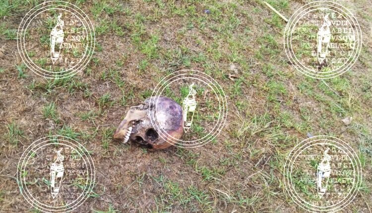 IMG-20230516-WA0030-01