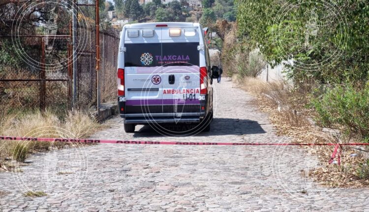 IMG-20230518-WA0026-01