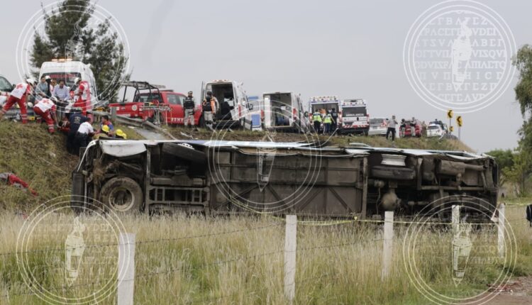 IMG-20230526-WA0294-01