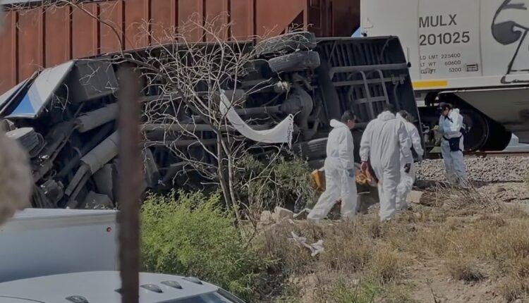 Screenshot_2023-08-03-00-01-28-003_com.twitter.android-01