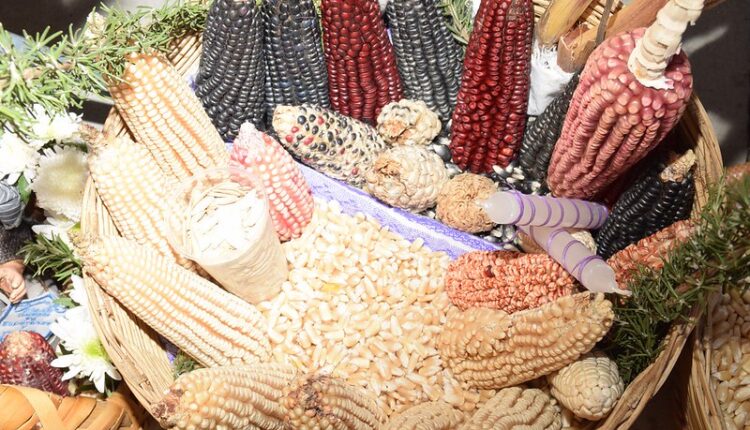 54510776337_992f535a90_c