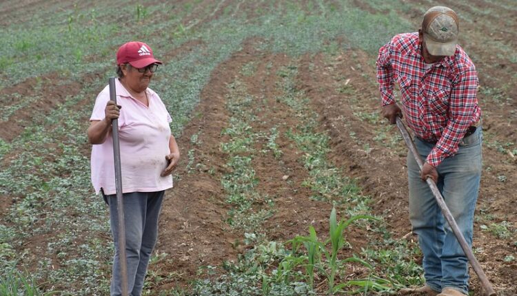 54510777097_93b03496d5_c