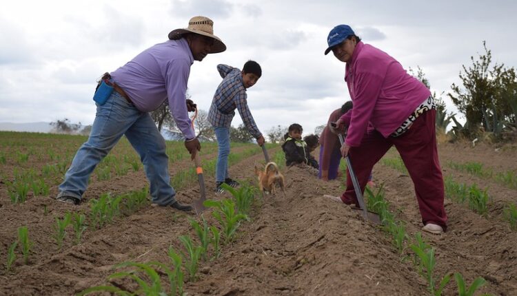 54510777192_0a17fdb064_c