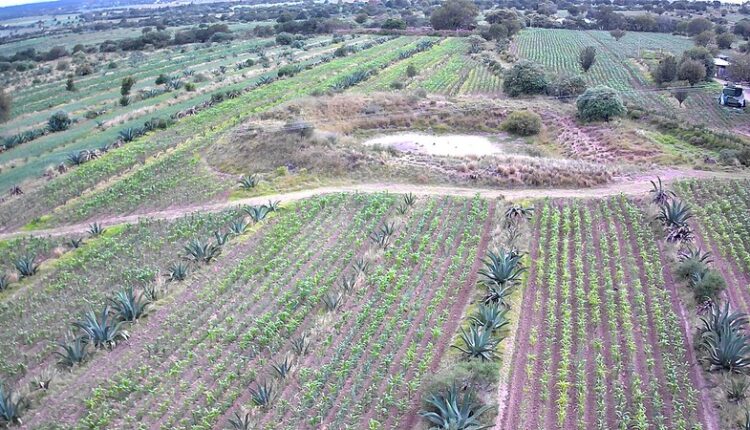 54510777317_9d9e166b85_c