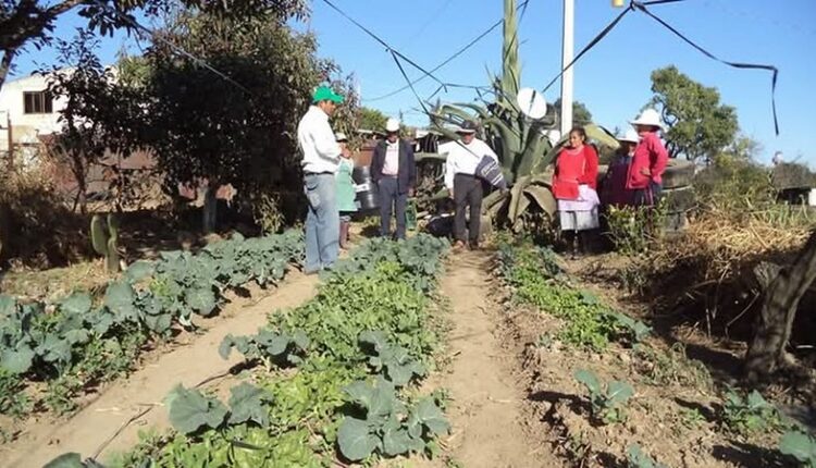 54511643121_deaf4e7701_c