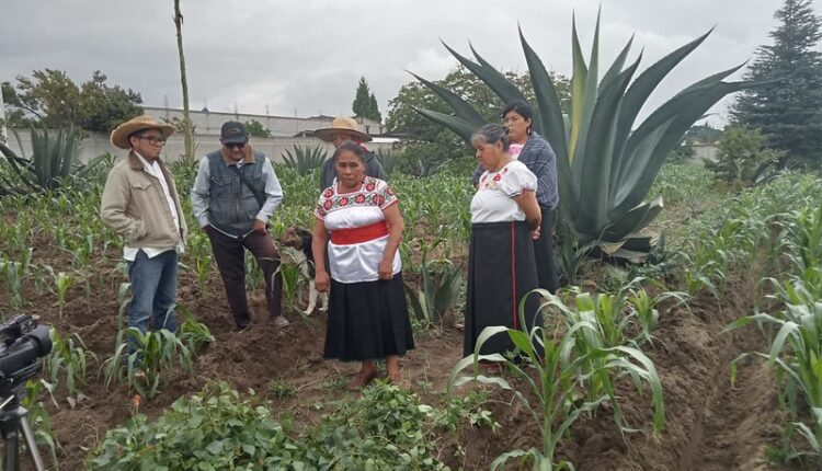 54511643136_5e96fa1396_c