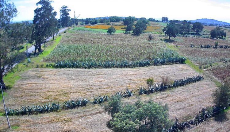 54511832679_997002328b_c