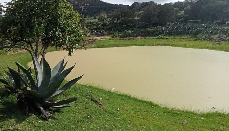 54511832754_811415a683_c