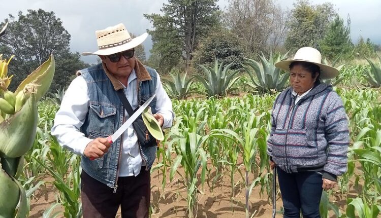 54511833734_c615be3555_c