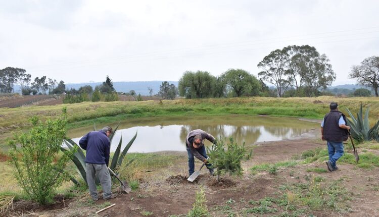 54511905698_194148b5fe_c