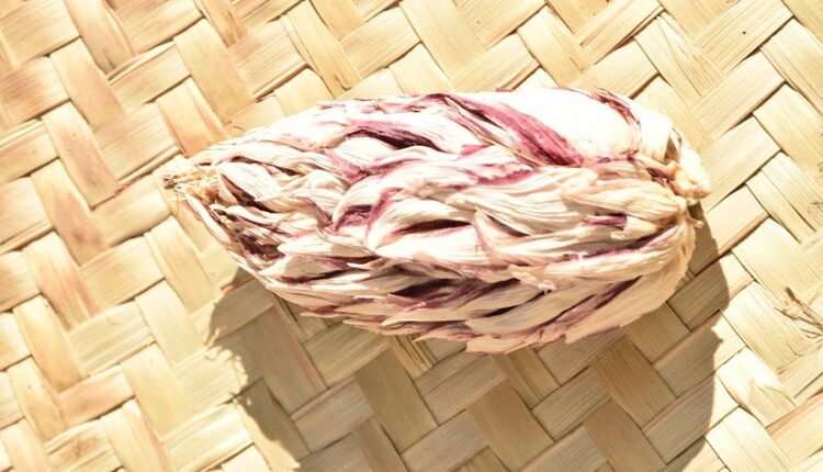 54512001035_b4def07cda_c