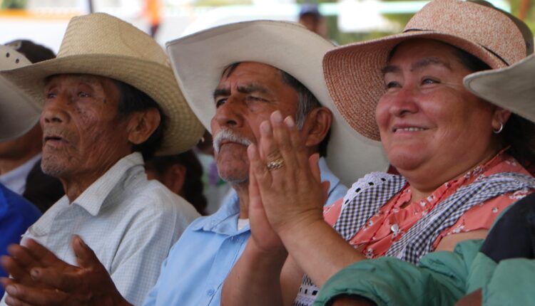 WhatsApp Image 2025-05-16 at 1.53.18 PM