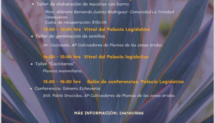 28 Invita el CICB-UATx al Segundo Festival de Suculentas (2)