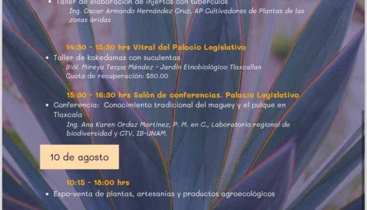 28 Invita el CICB-UATx al Segundo Festival de Suculentas (3)