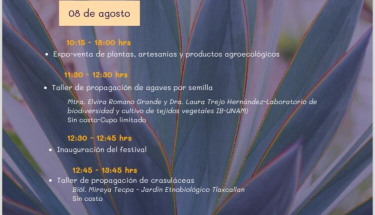 28 Invita el CICB-UATx al Segundo Festival de Suculentas (5)