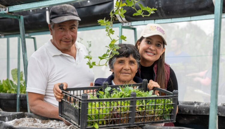 WhatsApp Image 2025-08-05 at 11.50.11 AM (1)