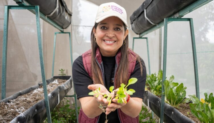 WhatsApp Image 2025-08-05 at 11.50.11 AM