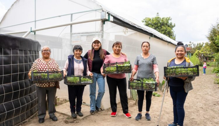 WhatsApp Image 2025-08-05 at 11.50.12 AM (2)