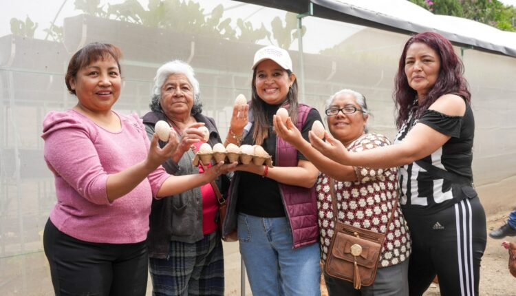 WhatsApp Image 2025-08-05 at 11.50.12 AM