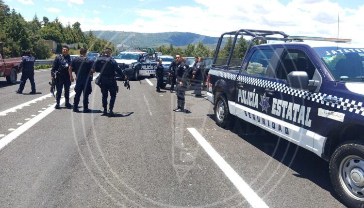 WhatsApp Image 2025-08-05 at 12.07.52 PM (1)