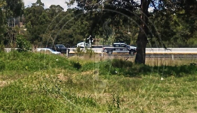 WhatsApp Image 2025-08-05 at 12.07.52 PM