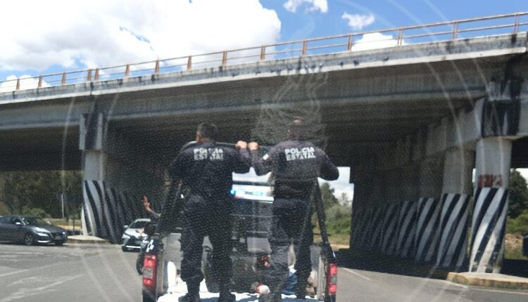 WhatsApp Image 2025-08-05 at 12.07.53 PM (2)