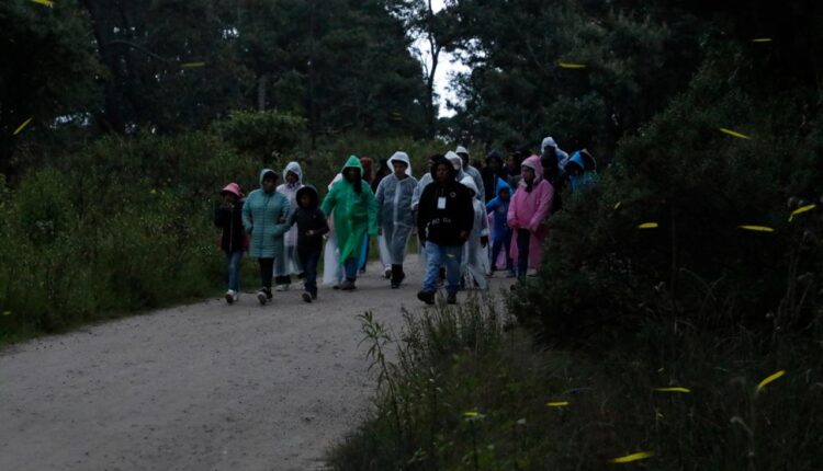 WhatsApp Image 2025-08-05 at 12.54.22 PM (2)