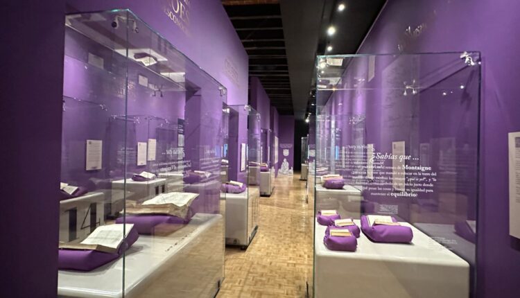 WhatsApp_Image_2025-08-24_at_12.44.13_PM